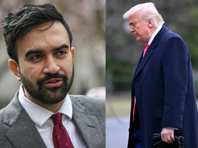 भारतीय मूल के 34 वर्षीय जोहरान ममदानी को मंगलवार को न्यूयॉर्क सिटी का मेयर चुना गया